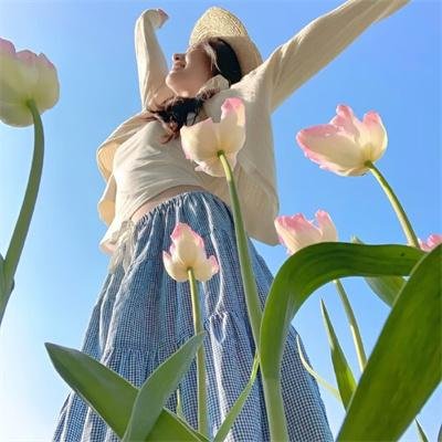 天体乐园海报